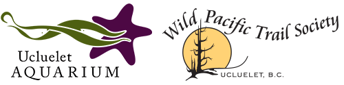 aquarium logo